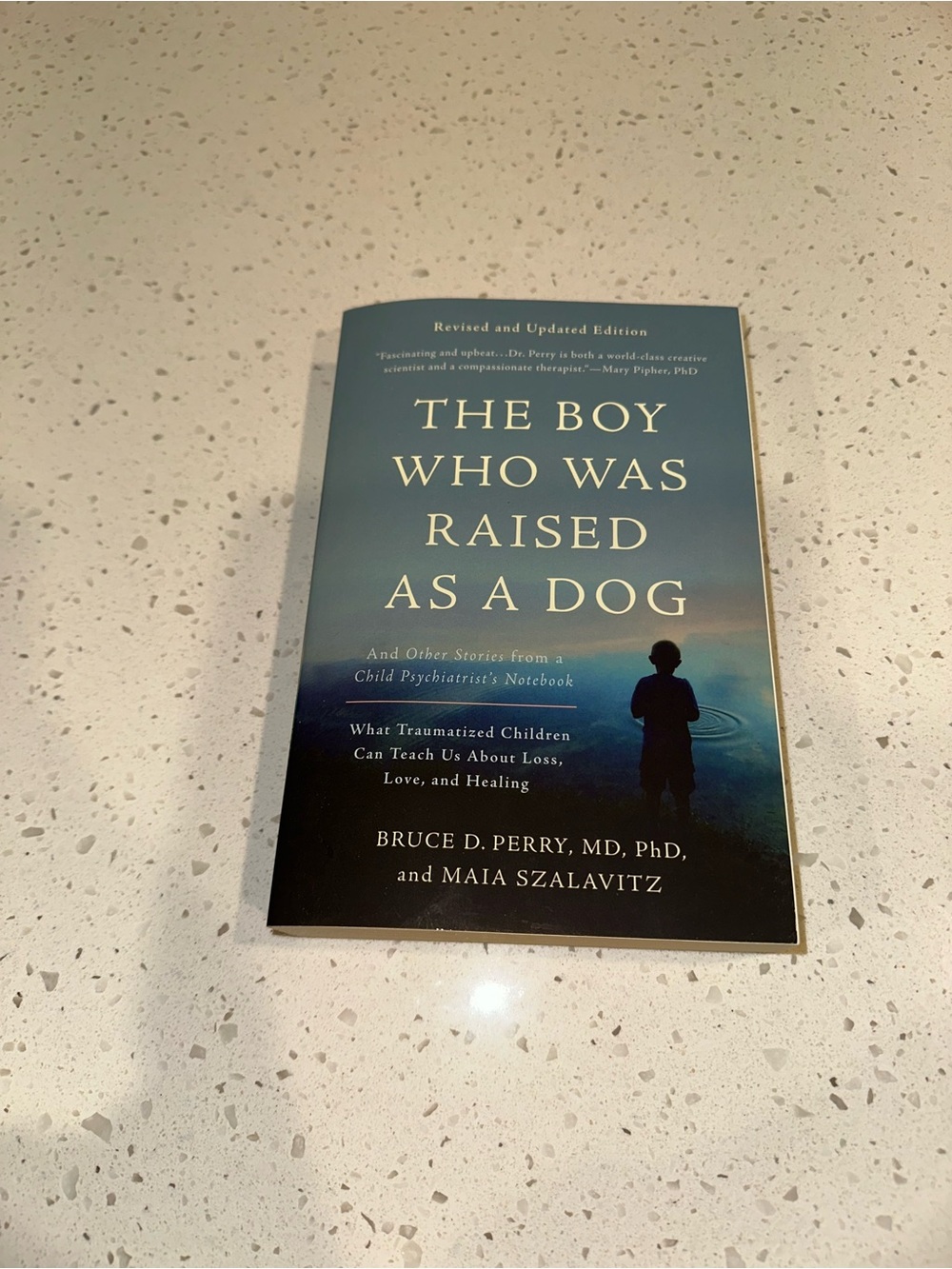 The Boy Who Was Raised as a Dog - Bruce D. Perry - Paperback Psychology
